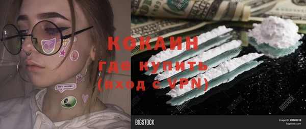 прущие грибы Бабаево