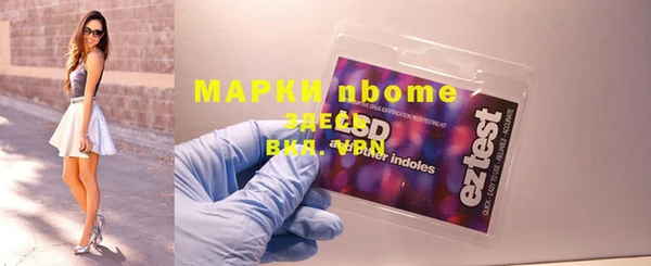 a pvp Новозыбков