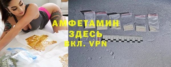 прущие грибы Бабаево