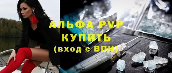 прущие грибы Бабаево