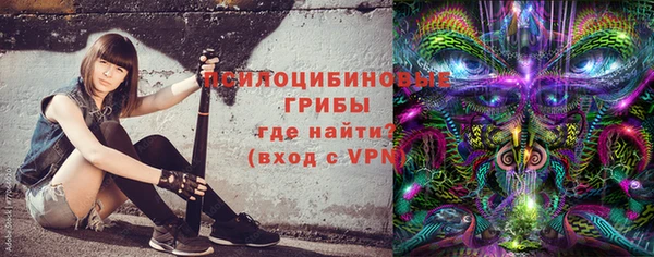 a pvp Новозыбков