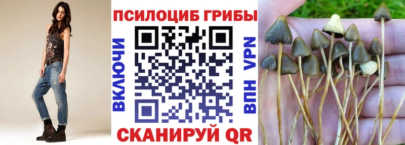 Псилоцибиновые грибы мицелий Очёр
